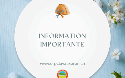 🐰 𝓙𝓸𝔂𝓮𝓾𝓼𝓮𝓼 𝓕𝓮𝓽𝓮𝓼 𝓭𝓮 𝓟𝓪𝓺𝓾𝓮𝓼 🐣