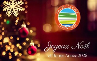 🎄ᴊᴏʏᴇᴜx ɴᴏᴇʟ ᴇᴛ ʙᴏɴɴᴇ ᴀɴɴᴇᴇ 𝟸𝟶𝟸𝟼🎉